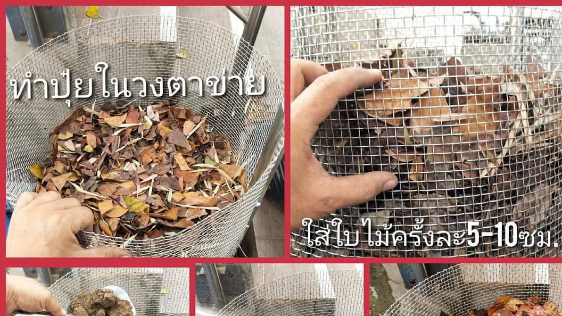 slideshow slide image