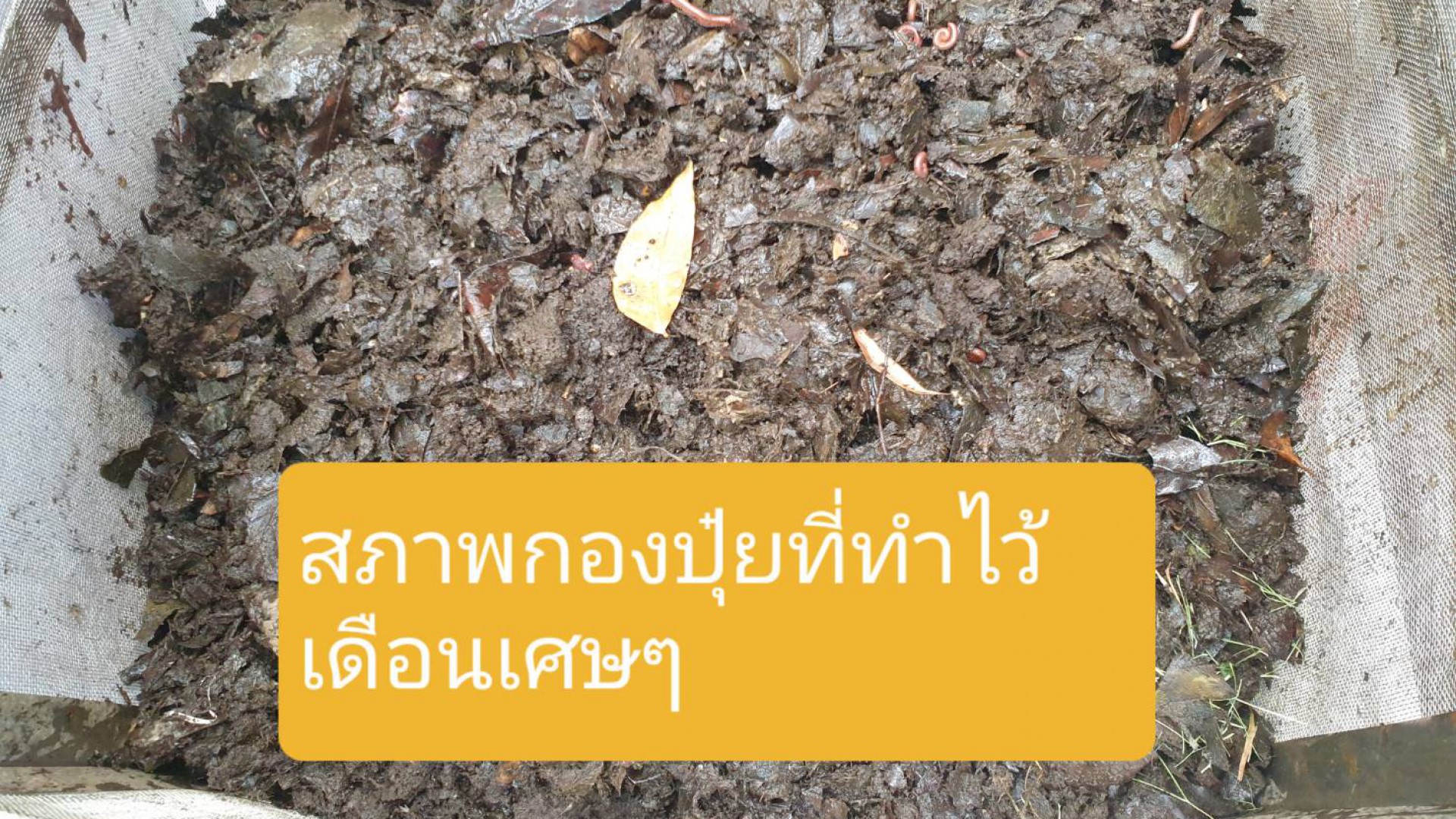 slideshow slide image