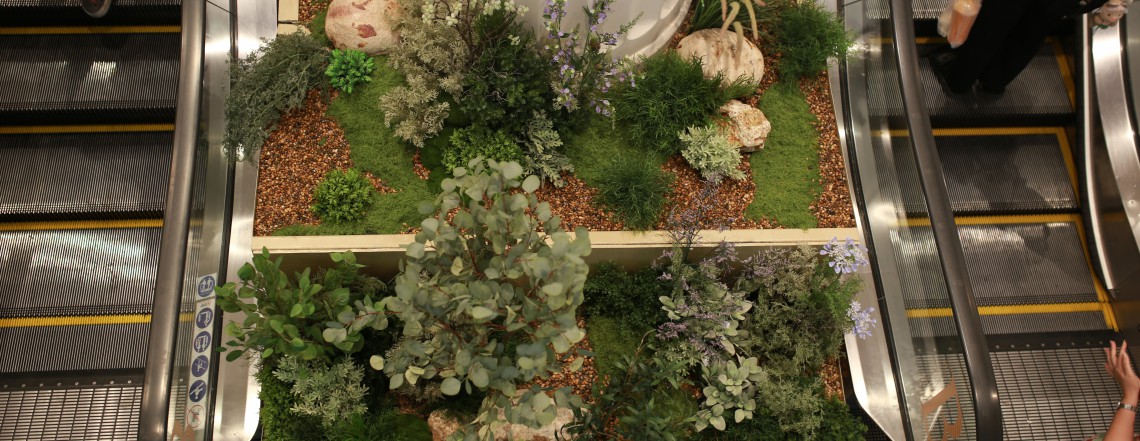 slideshow slide image